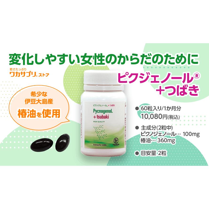 ワカサプリ ピクノジェノール＋つばき 60粒入り（約30日分） : 松つぁ