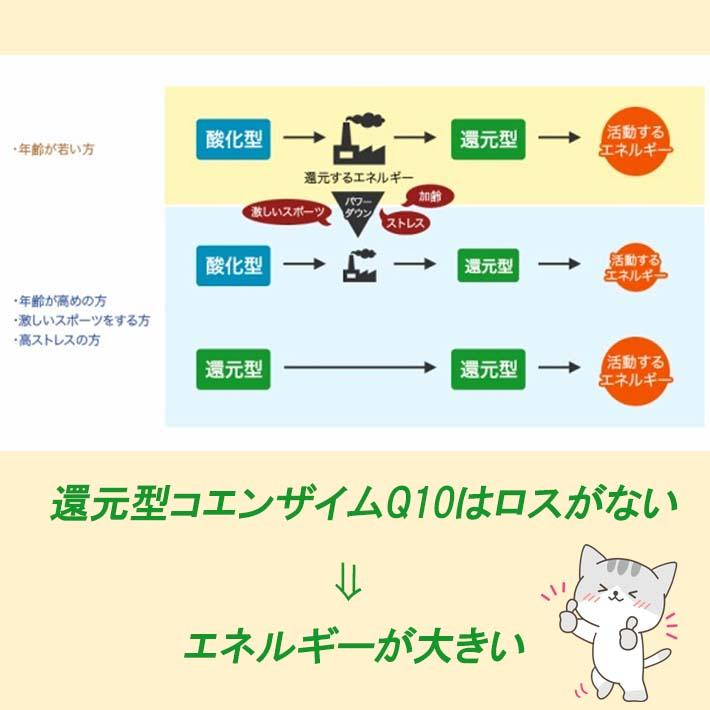 母の日 プレゼント 還元型 コエンザイムQ10 サプリメント 3個セット ASTALIVE アスタライブ 還元型コエンザイムQ10 60粒 ×3個 | 国産 カネカ社製 CoQ10｜astalive｜12