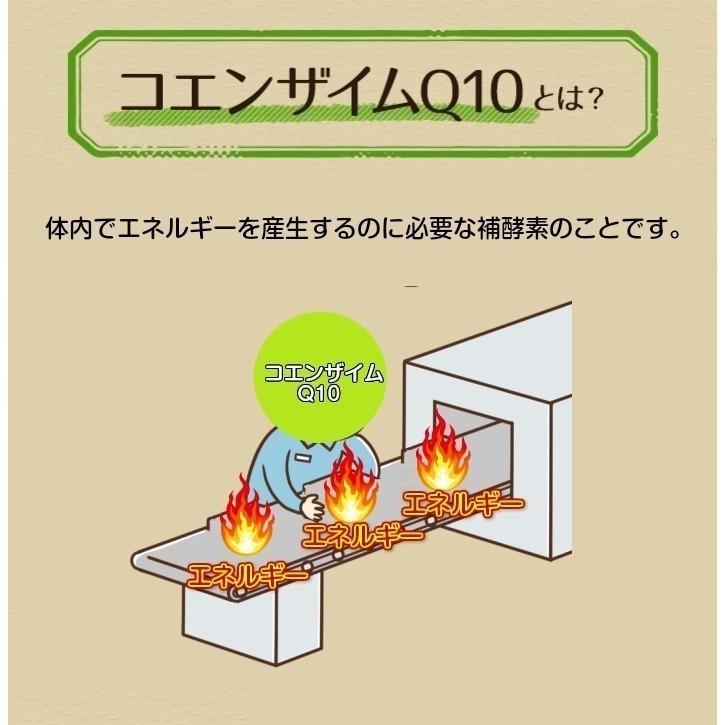 還元型 コエンザイムQ10 サプリメント 5個セット ASTALIVE アスタライブ 還元型コエンザイムQ10 60粒 ×5個 | 国産 カネカ社製 CoQ10使用 | ASTALIVE | 04