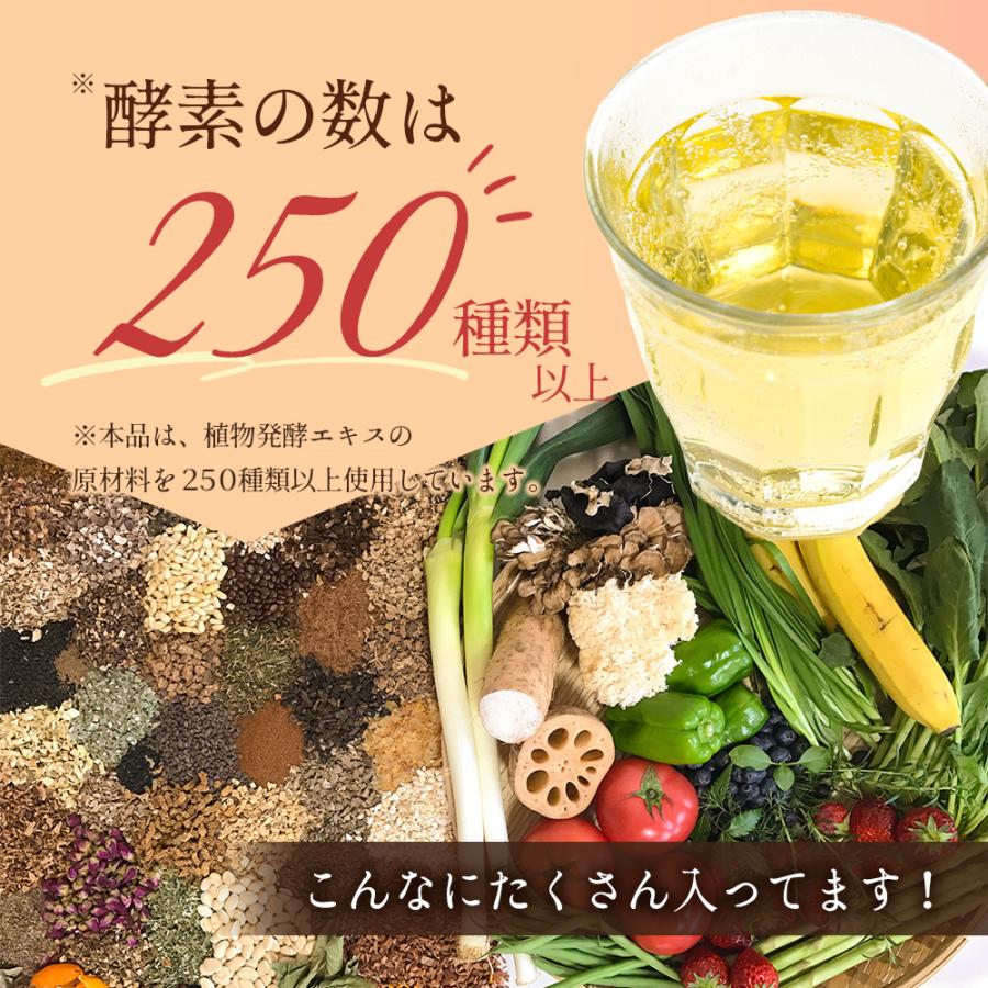 Healthy Beauty ダイエットドリンク 2種セット 酵素ドリンク ファステイング ダイエット 『リニューアル』 2本