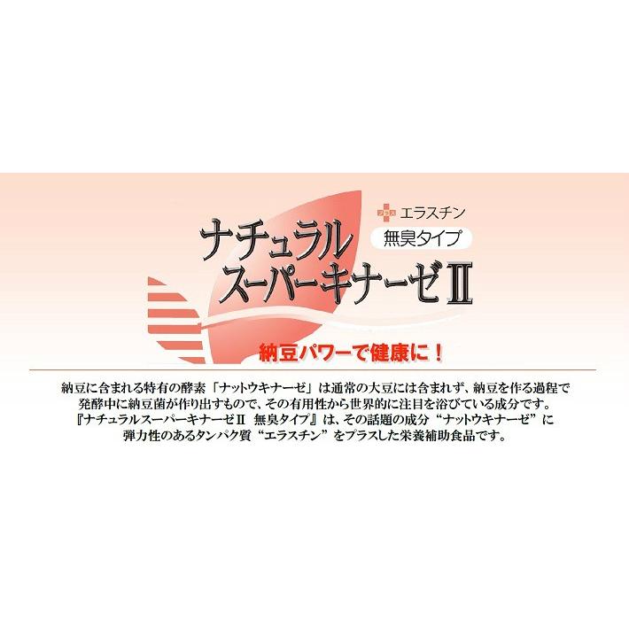 日本ナットウキナーゼ協会認定 ナットウキナーゼ 納豆激 10個セット 日