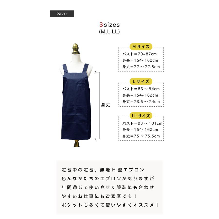 エプロン 三角巾 セット 大人 h型 中学生 160 170 給食エプロン