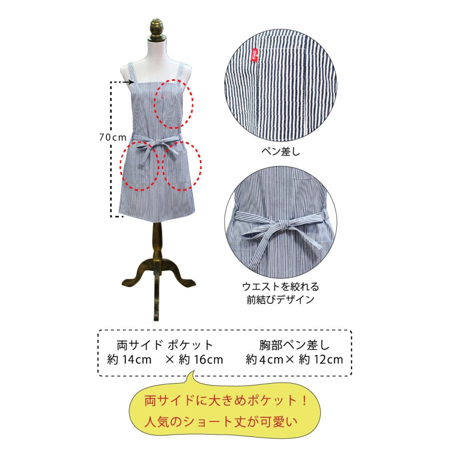 EDWIN 新作 エプロン 三角巾 セット 大人 中学生 160 170 クロス