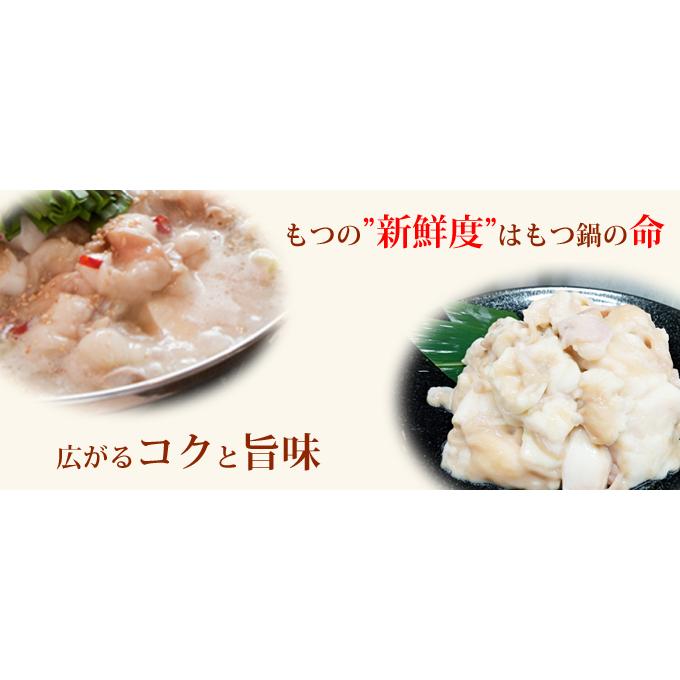 【送料無料】国産和牛もつ鍋　3~4人前 |  | 03