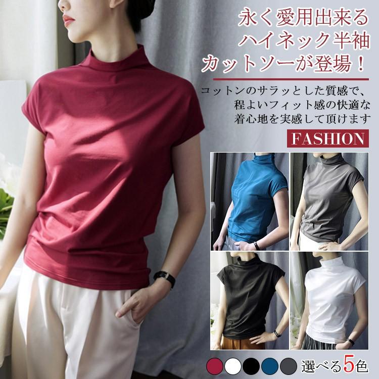 送料無料ハイネックカットソー レディース トップス カットソー ハイネック シンプル 無地 Tシャツ プチハイネック カジュアル キレイめ 通勤 スト Mcaa4129 アスティカ 通販 Yahoo ショッピング