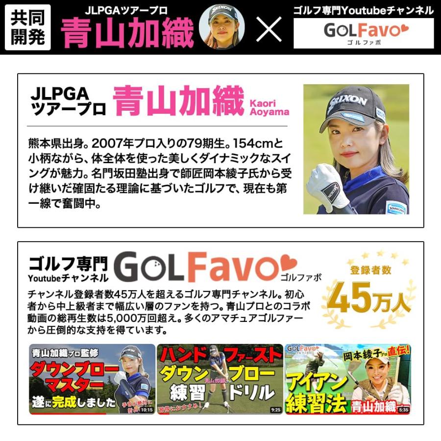 Down blow Master 青山加織プロ監修 ダウンブローマスター