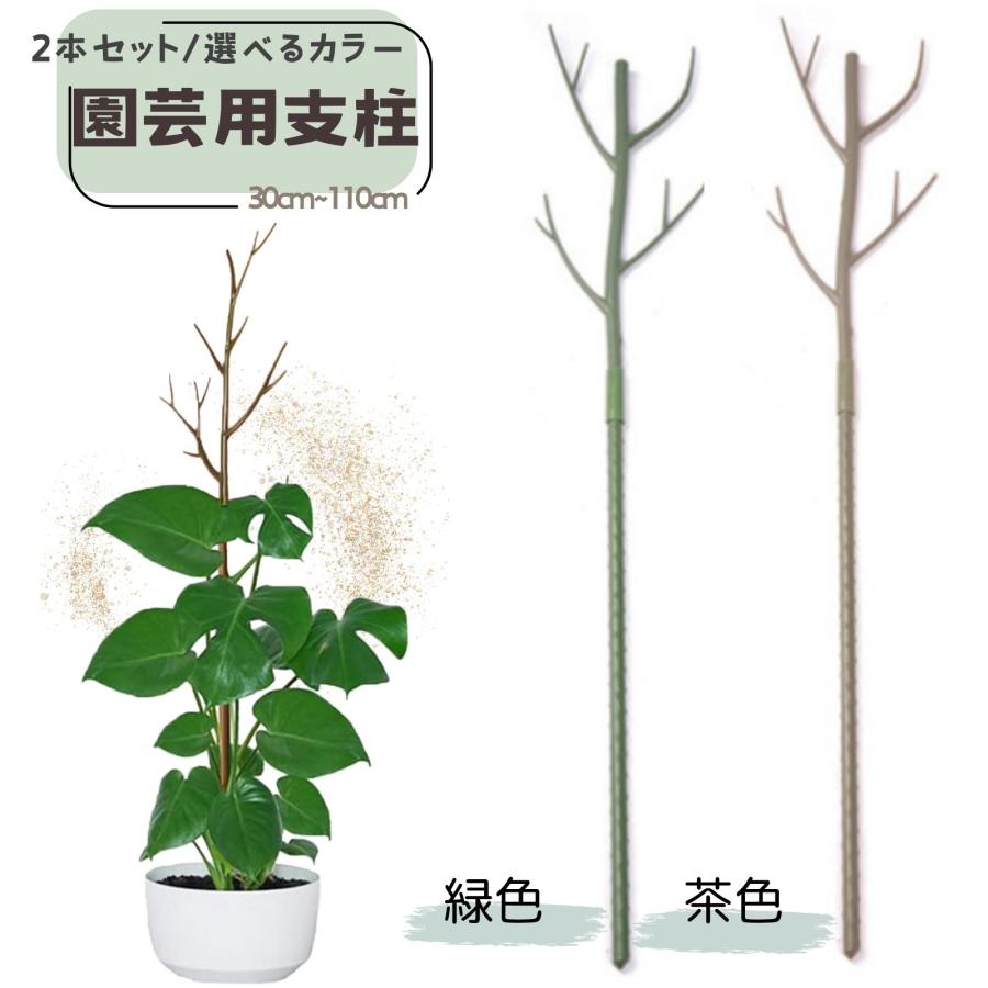 支柱 2本セット 送料無料 園芸 観葉植物 ガーデニング 添え木 支え
