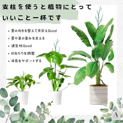 支柱 2本セット 送料無料 園芸 観葉植物 ガーデニング 添え木 支え