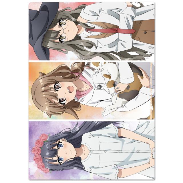 青春ブタ野郎はバニーガール先輩の夢を見ない　クリアファイル　まとめ売り　希少 青春ブタ野郎はバニーガール先輩の夢を見ない クリアファイルB : アス