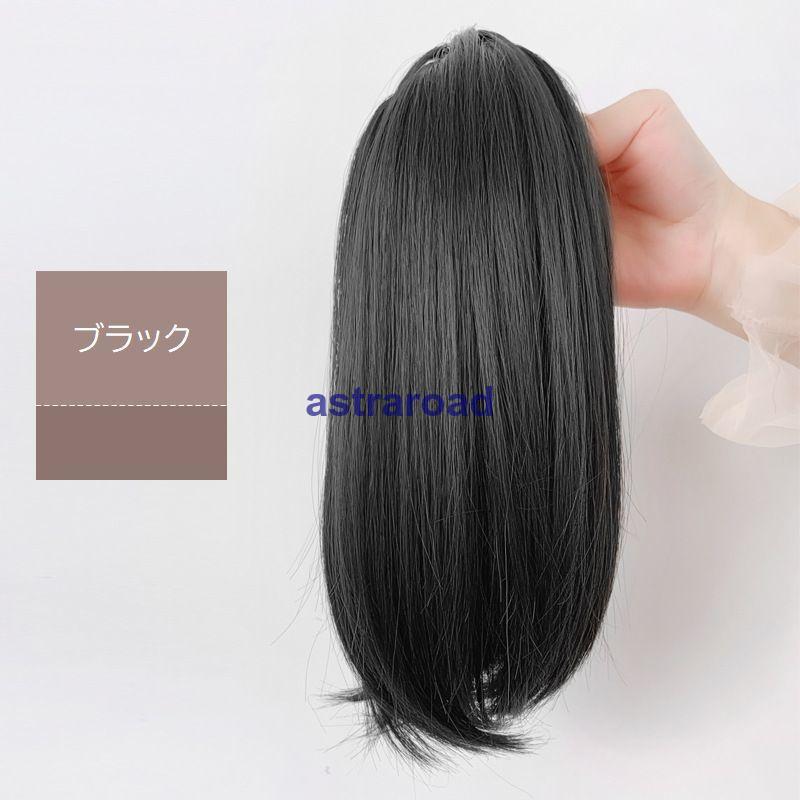 ポイントウィッグ ヘアウィッグ 部分ウィッグ つけ毛 レディース 女性