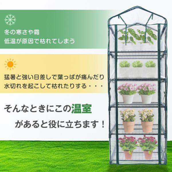 ビニール温室 ビニールハウス 5段 ファスナー開閉 設置しやすい