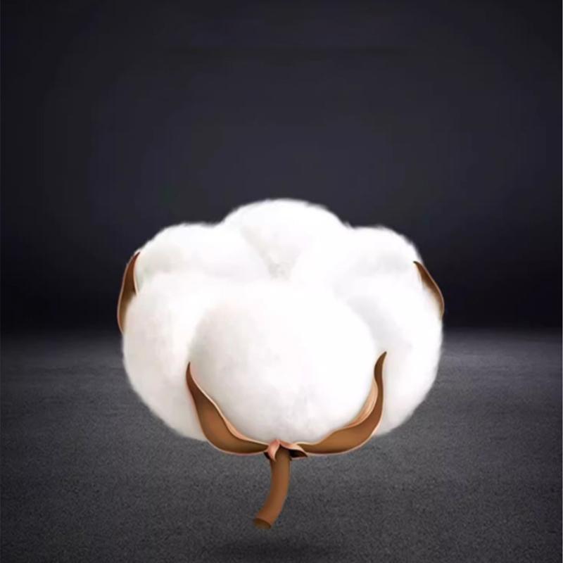 ショーツ 3枚セット ボクサーパンツ ボックスショーツ インナー ランジェリー 下着 女性 レディース  ボーイレッグ ボーイレングス 定番  夏 | ブランド登録なし | 17