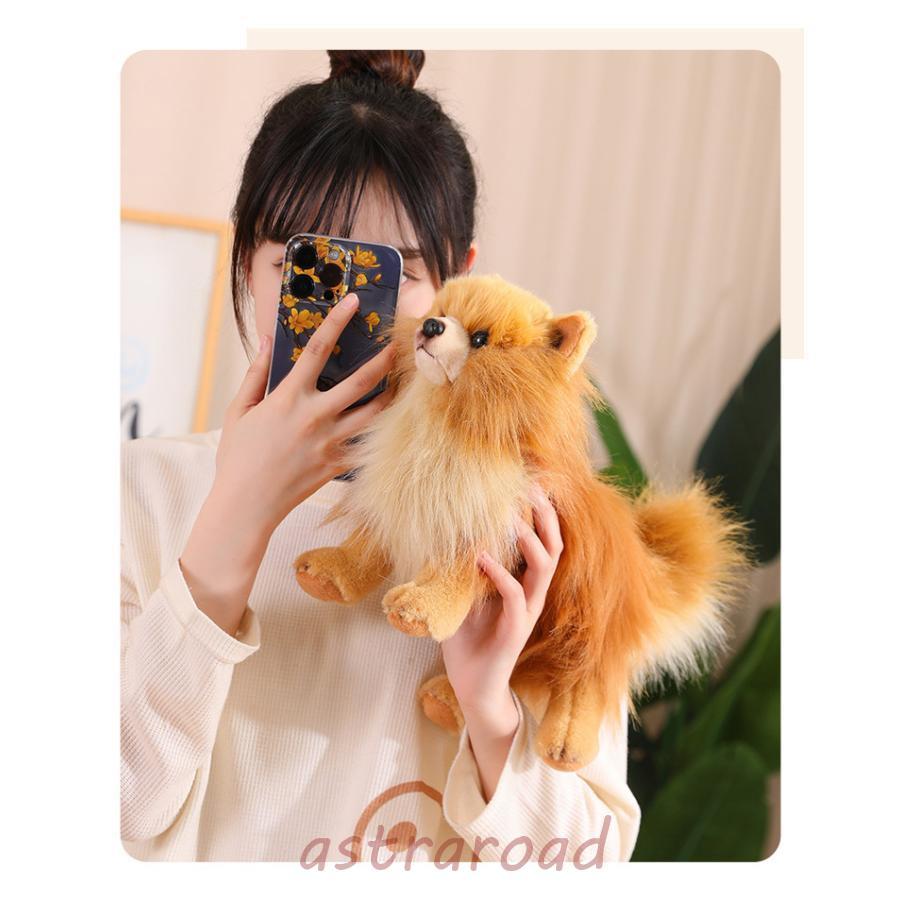 爆買 ぬいぐるみ ポメラニアン 犬 リアル 本物そっくり 生々しい いぬ