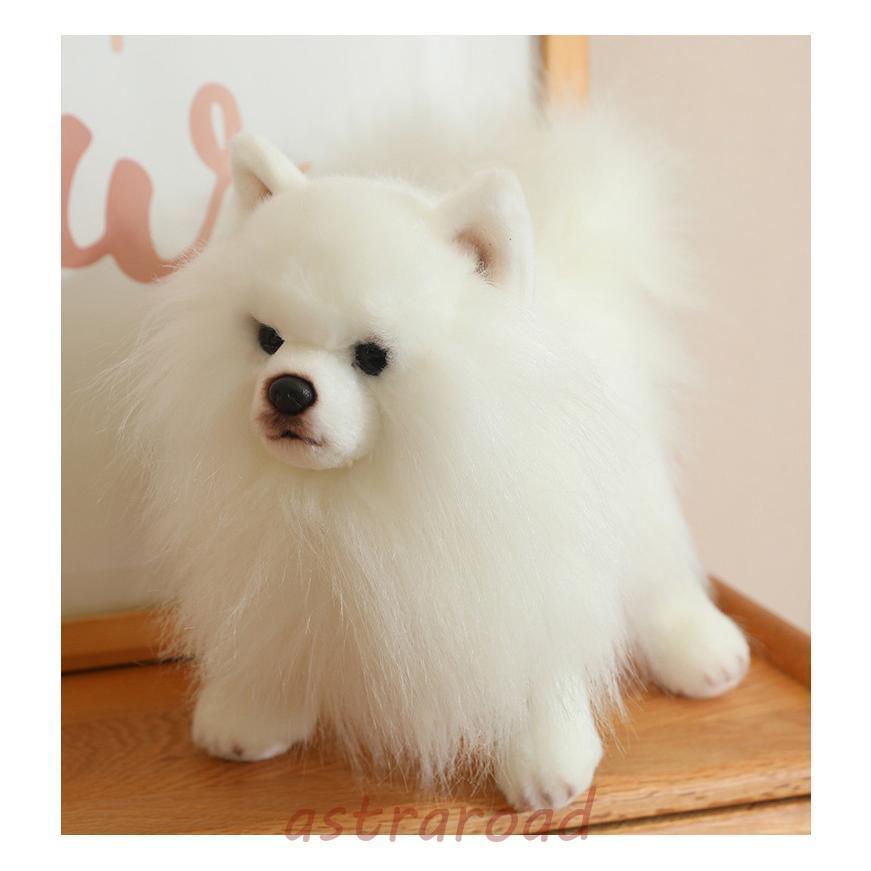 ぬいぐるみ ポメラニアン 犬 リアル 本物そっくり 生々しい いぬ 抱き