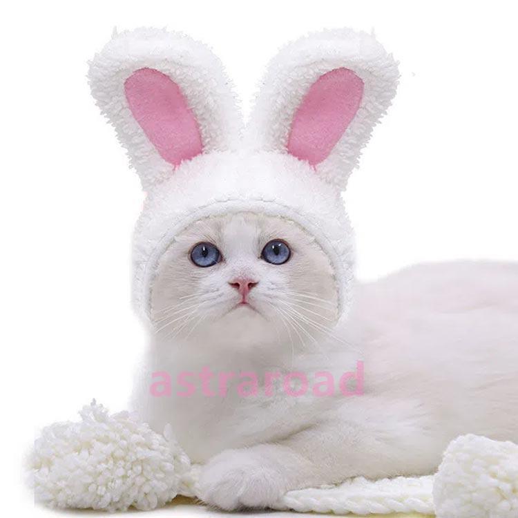 犬 猫 ウサギの帽子 うさぎ かぶりもの 3色 小型犬 干支 トイプードル