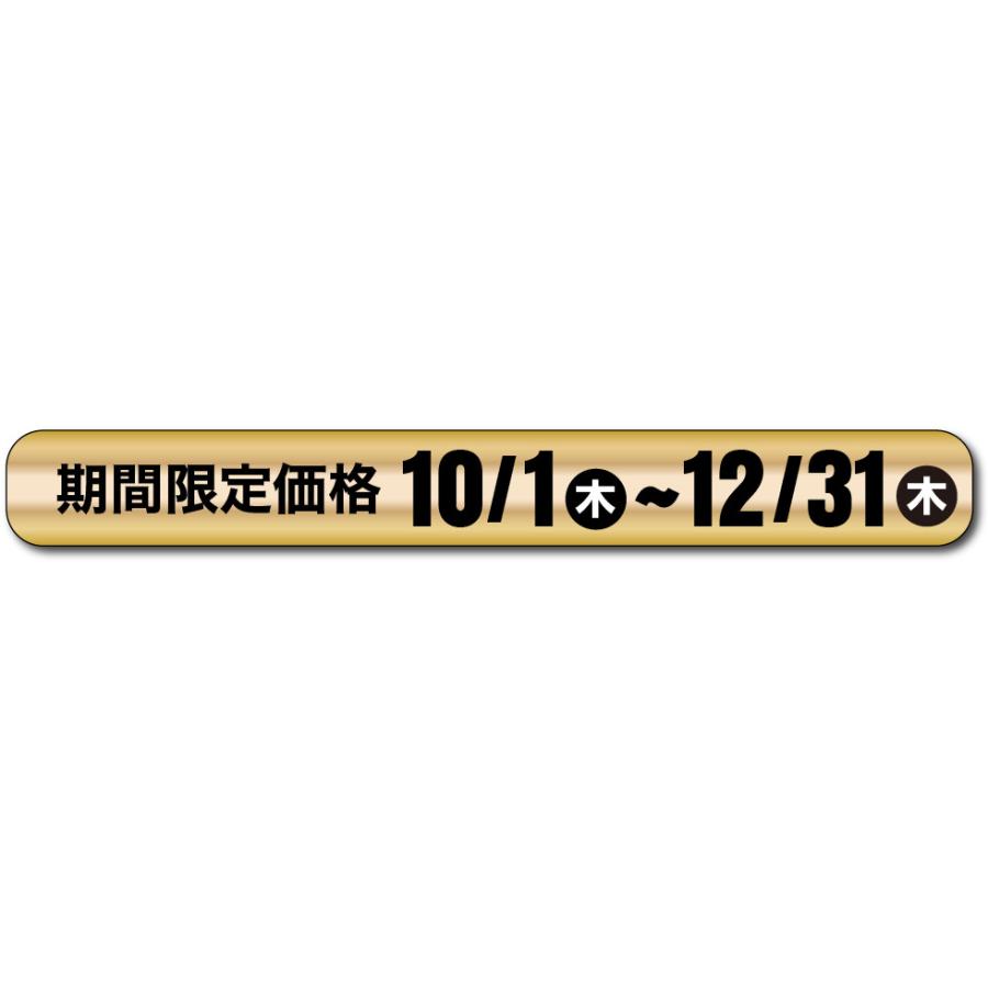 アストロプロダクツ（ASTROPRODUCTS） 3/8DR(9.5mm) プリセット型ト