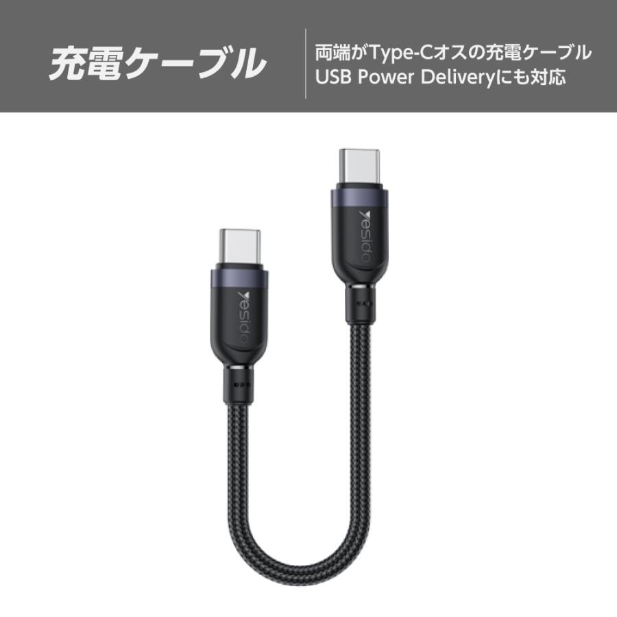 アストロプロダクツ（ASTROPRODUCTS） 0.3m 充電ケーブル C to C