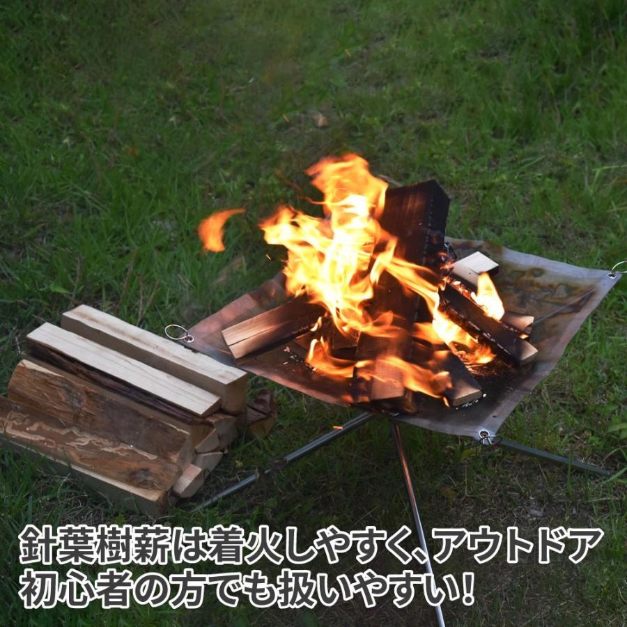 薪 針葉樹 30cm 約13.0Kg | 薪 焚き火 BBQ 調理 暖炉 ストーブ アウトドア 木 癒し 杉 針葉樹|astroproducts|03