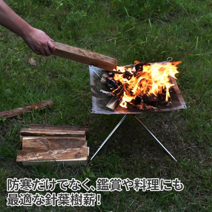 薪 針葉樹 30cm 約13.0Kg | 薪 焚き火 BBQ 調理 暖炉 ストーブ アウトドア 木 癒し 杉 針葉樹|astroproducts|04