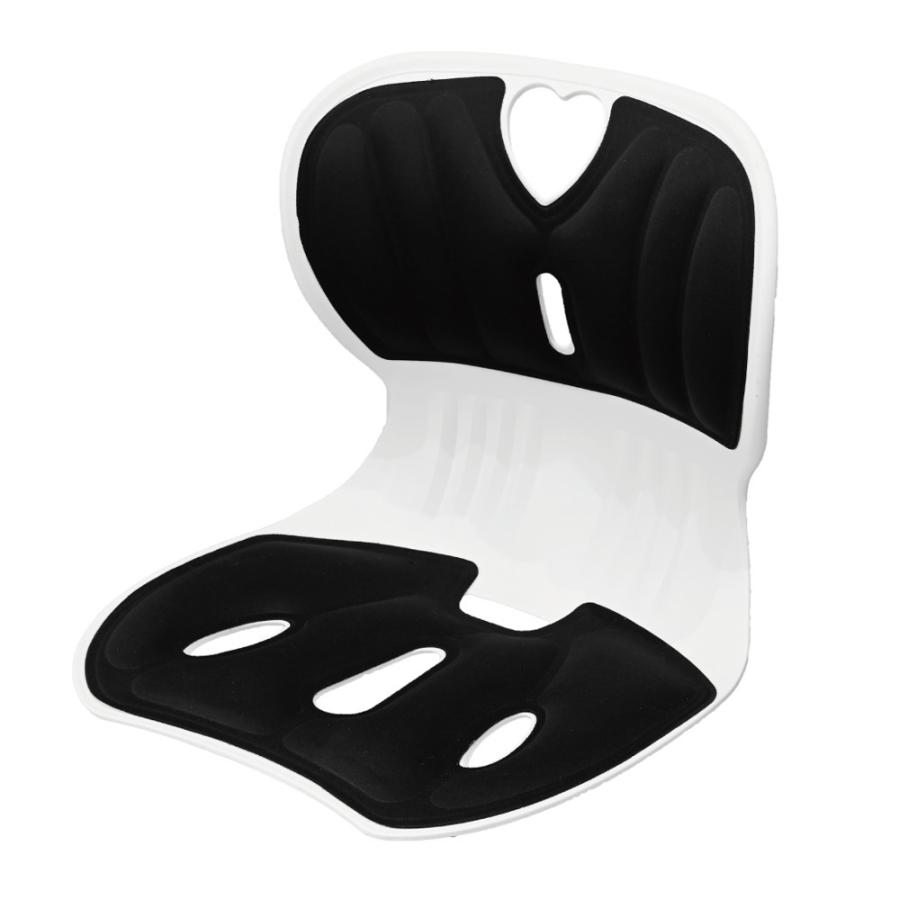 EDN EDN-435 姿勢サポートチェア : アストロプロダクツ 公式 - 通販