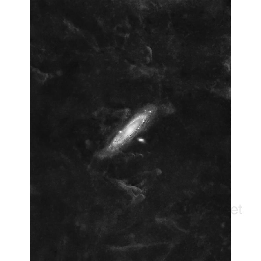 Optolong H-Alpha 3nm フィルター 2\" 用 M48の画像