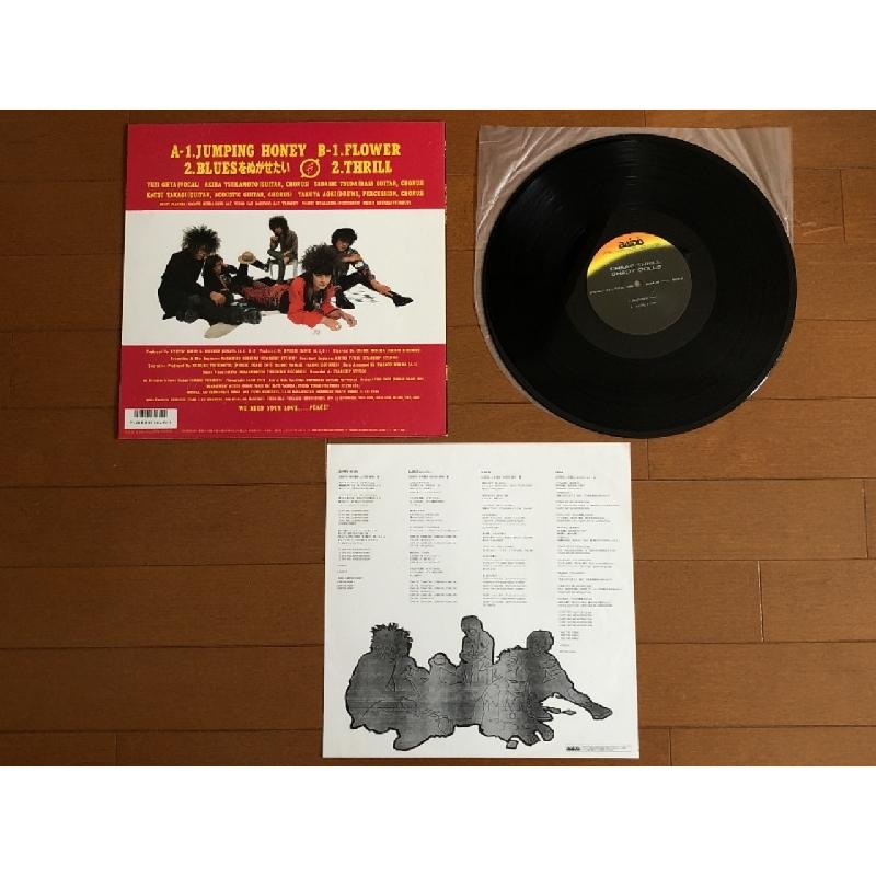 美盤 良ジャケ レア盤 1988年 シェイディ・ドールズ Shady Dolls