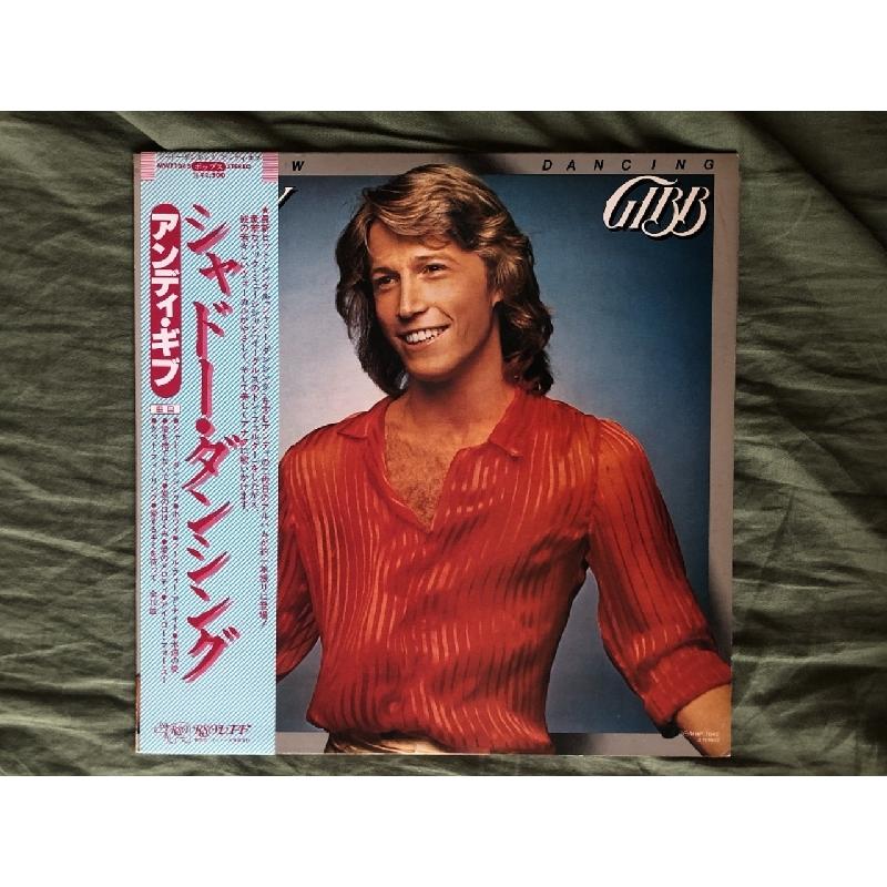 アンディ・ギブ Andy Gibb 1978年 LPレコード シャドー・ダンシング Shadow Dancing 国内盤 帯付Pop Don Felder ビージーズ｜astrotunes｜02