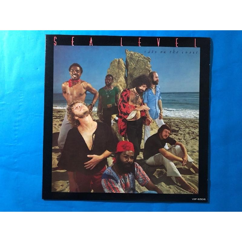 ジャケ無し　LP レコード　36枚　ジャズ等 傷なし美盤 1977年 国内盤 シー・レヴェル Sea Level LPレコード 海猫