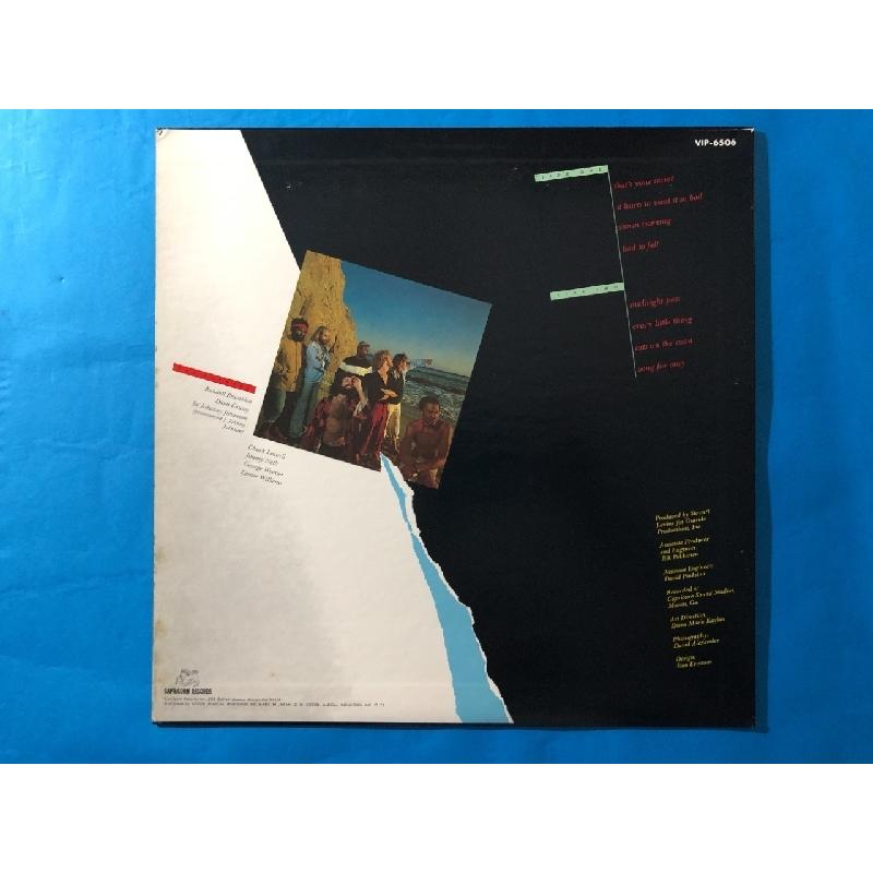 傷なし美盤 1977年 国内盤 シー・レヴェル Sea Level LPレコード 海猫