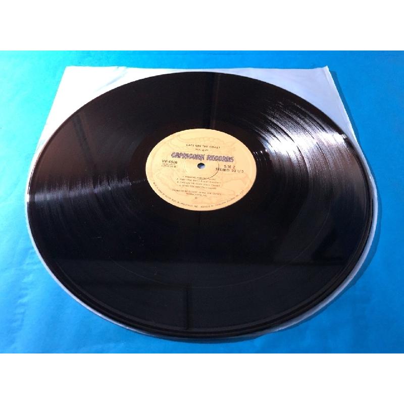 傷なし美盤 1977年 国内盤 シー・レヴェル Sea Level LPレコード 海猫