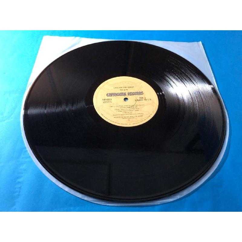 傷なし美盤 1977年 国内盤 シー・レヴェル Sea Level LPレコード 海猫