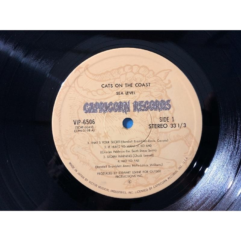 傷なし美盤 1977年 国内盤 シー・レヴェル Sea Level LPレコード 海猫