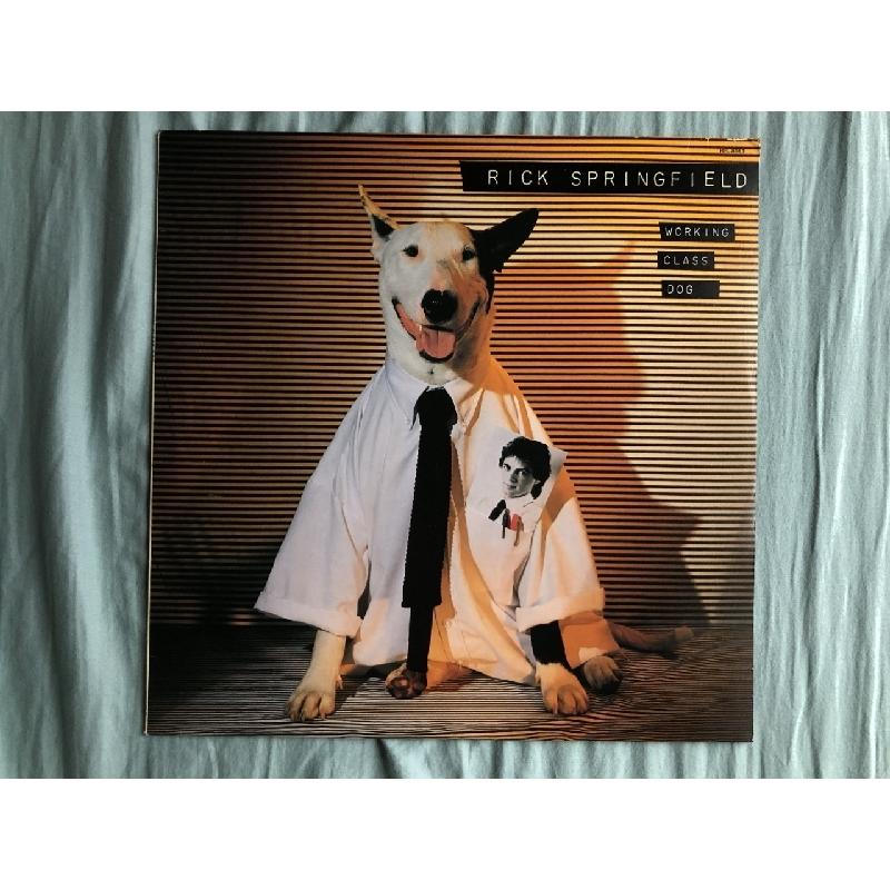 美盤 リック・スプリングフィールド Rick Springfield 1981年 LPレコード ジェシーズ・ガール Working Class Dog  国内盤 Pop rock :a001282:ASTROTUNES !ショップ 通販 