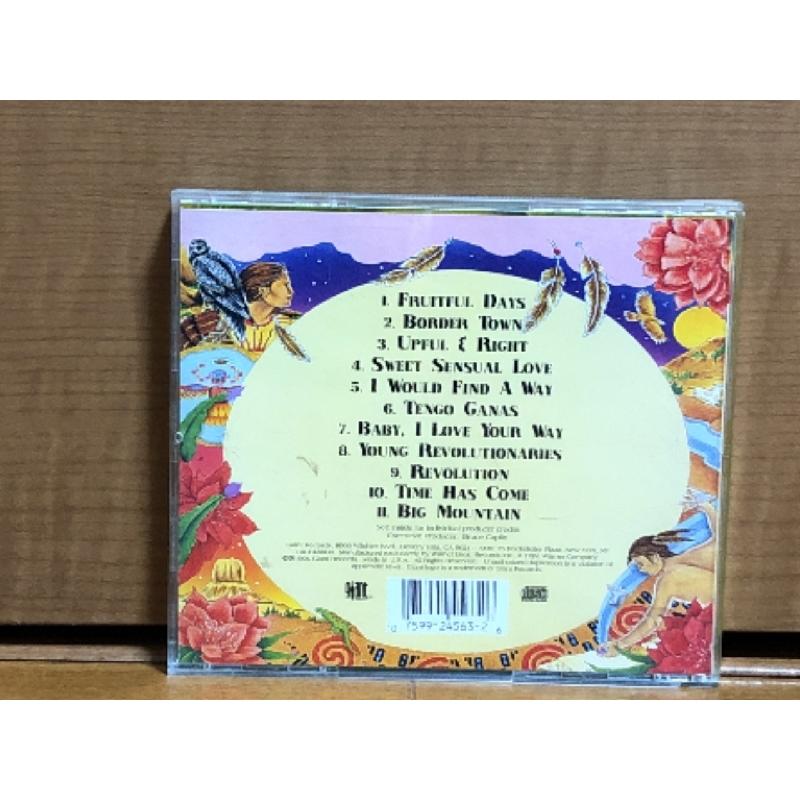 ビッグ・マウンテン Big Mountain 1994年 CD ユニティ Unity