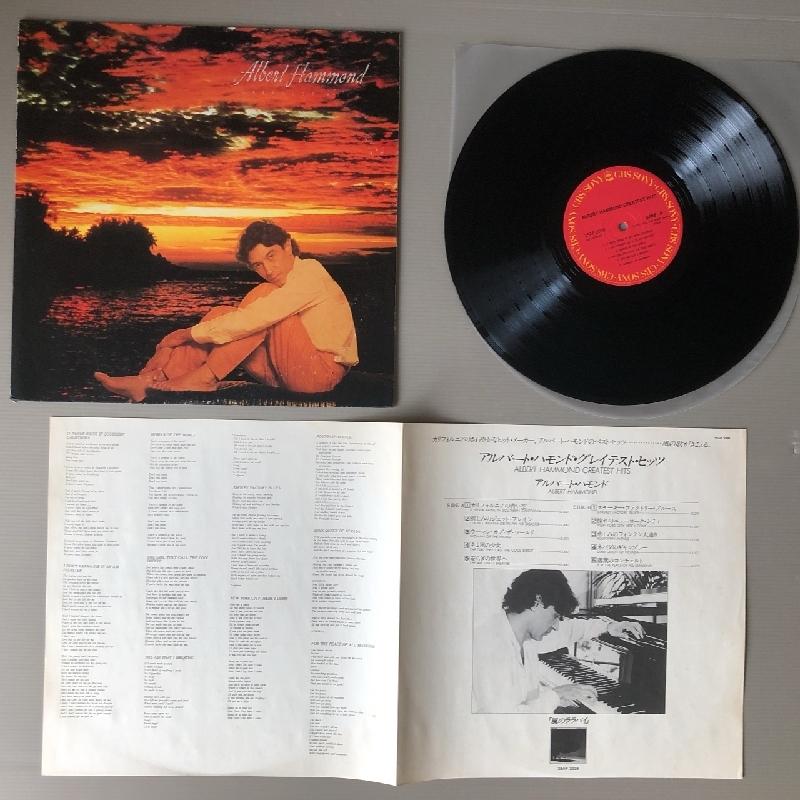 美盤 アルバート・ハモンド Albert Hammond 1981年 LPレコード グレイ