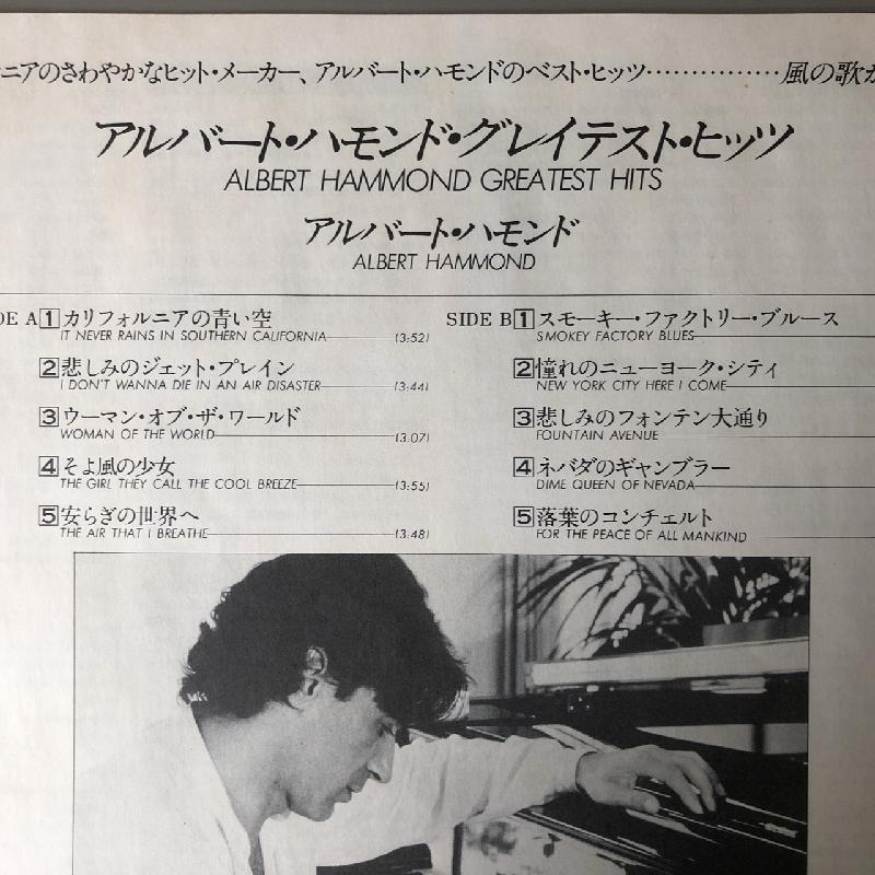 美盤 アルバート・ハモンド Albert Hammond 1981年 LPレコード グレイ