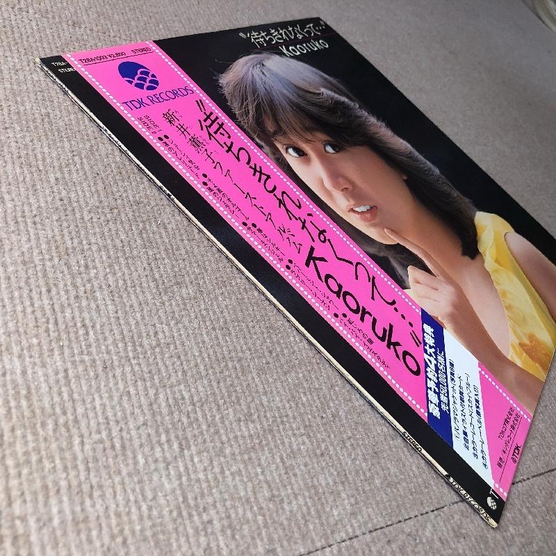 その年、私たちは 限定版レアレコード！ ふるさと納税限定セット】12 inchレコード盤『LV MURAKAMI