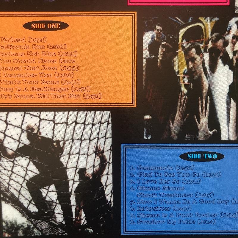 激レア ヴィンディクティヴス The Vindictives 1994年 LPレコード リーヴ・ホーム Leave Home 国内盤 Punk