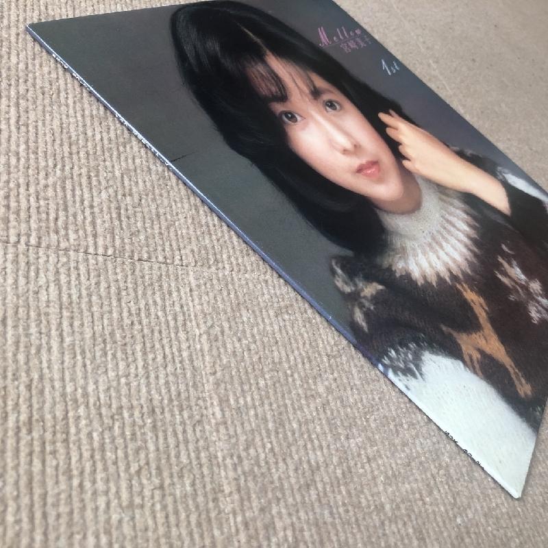 美盤　CAGE OMNIBUS NO! レコード RECORD RUNNER® Seibu Keisatsu (Police) 40th Anniversary