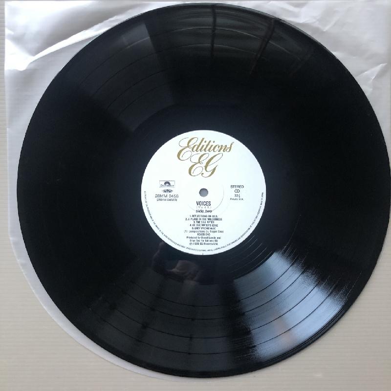 良盤 美ジャケ ロジャー・イーノ Roger Eno 1985年 LPレコード