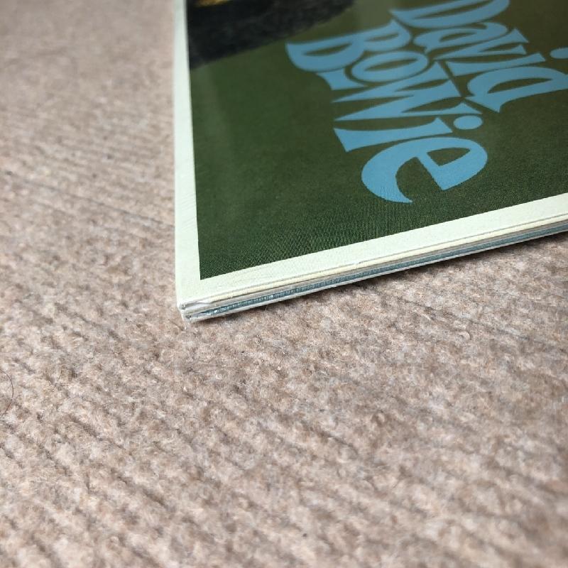 未開封新品 デビッド・ボウイ David Bowie 2010年 2枚組LP