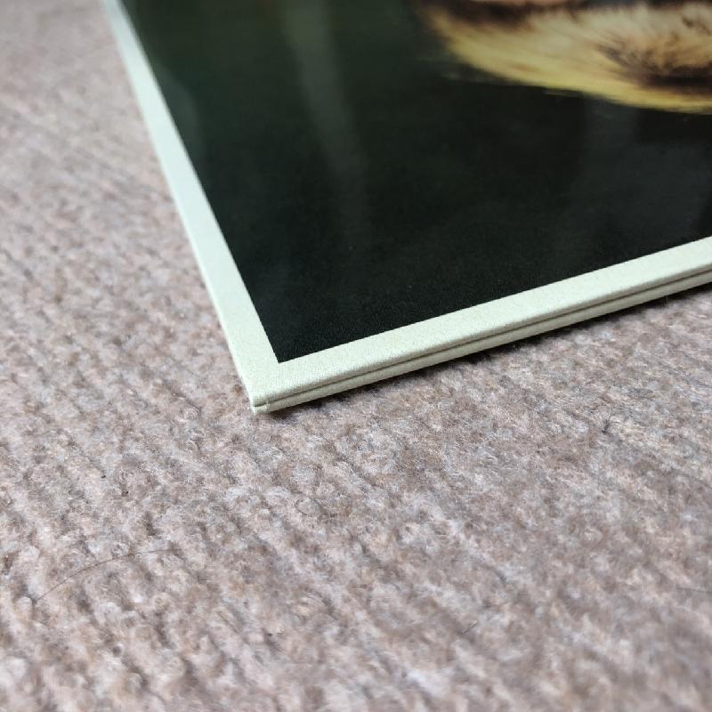 未開封新品 デビッド・ボウイ David Bowie 2010年 2枚組LPレコード