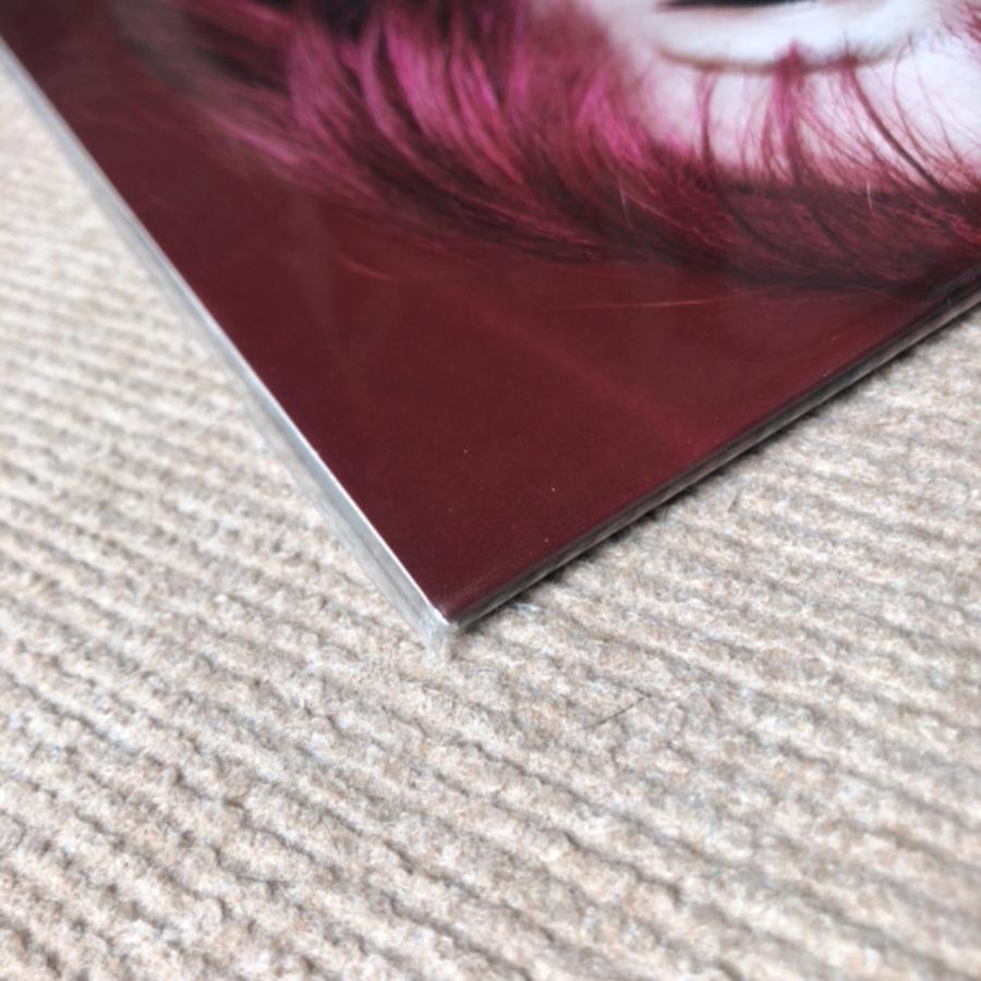 未使用新品 リサ LiSA 2022年 LPレコード レディバグ Ladybug 国内盤