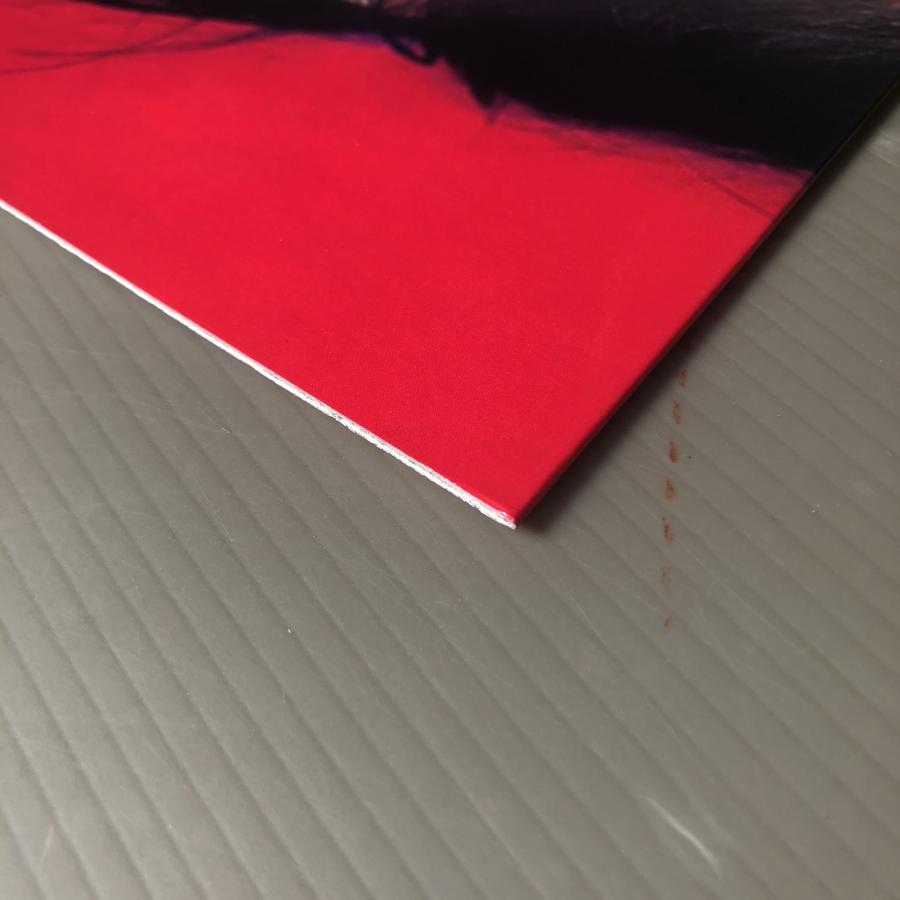 傷なし美盤 美ジャケ ほぼ新品 レア盤 ビッケブランカ(山池純矢) Vickeblanka 2017年 LPレコード Slave Of