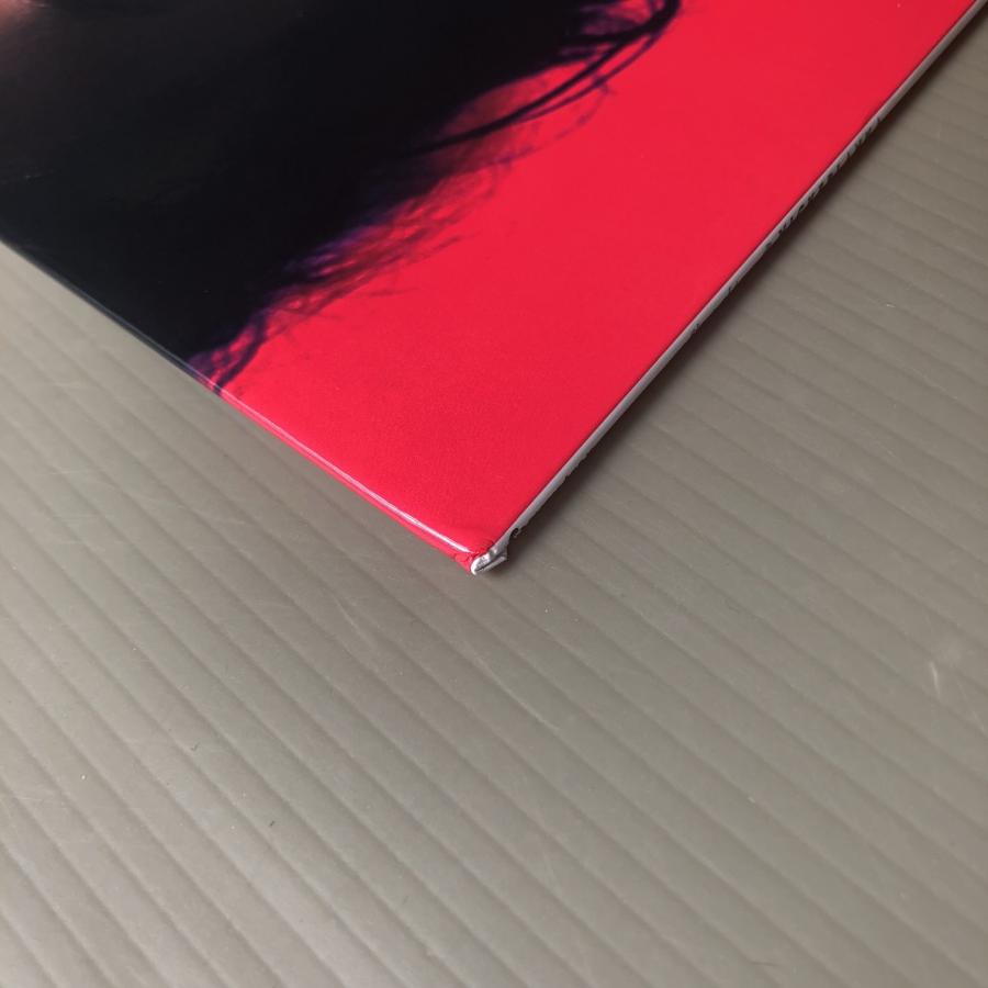 傷なし美盤 美ジャケ ほぼ新品 レア盤 ビッケブランカ(山池純矢) Vickeblanka 2017年 LPレコード Slave Of