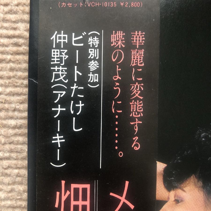 美盤 美品 畑中葉子 Yoko Hatanaka 1982年 LPレコード 美盤 美品 畑中葉子 Yoko Hatanaka 1982年 LPレコード