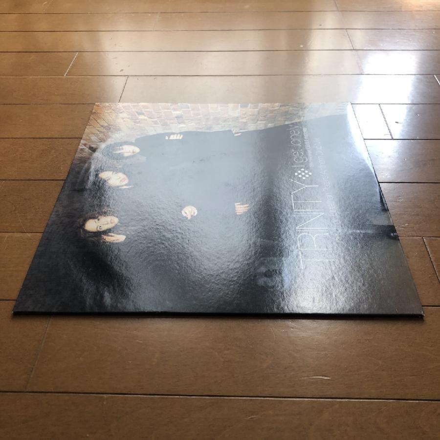 美盤 貴重盤 トリニティ Trinity (Japan) 2000年 12EPレコード I Get