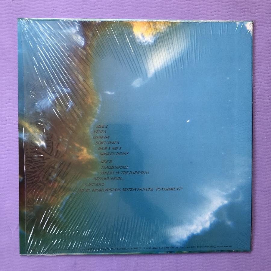 Nana　Feerique　LP　ルースターズ　roosters　大江慎也 Nana Feerique LP ルースターズ roosters 大江慎也 - メルカリ