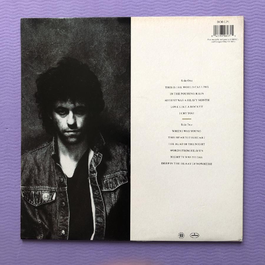 美盤 1986年 英国オリジナルリリース盤 ボブ・ゲルドフ Bob Geldof  LPレコード Deep In The Heart Of Nowhere Annie Lennox, Brian Setzer｜astrotunes｜02