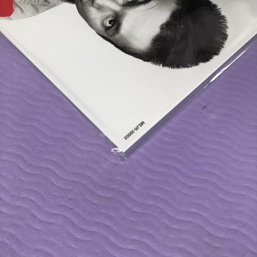 未開封新品 ザ・ブルーハーツ Blue Hearts 2017年 LPレコード ヤング